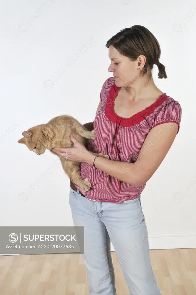 Cat with owner - cat reluctant to be handled 