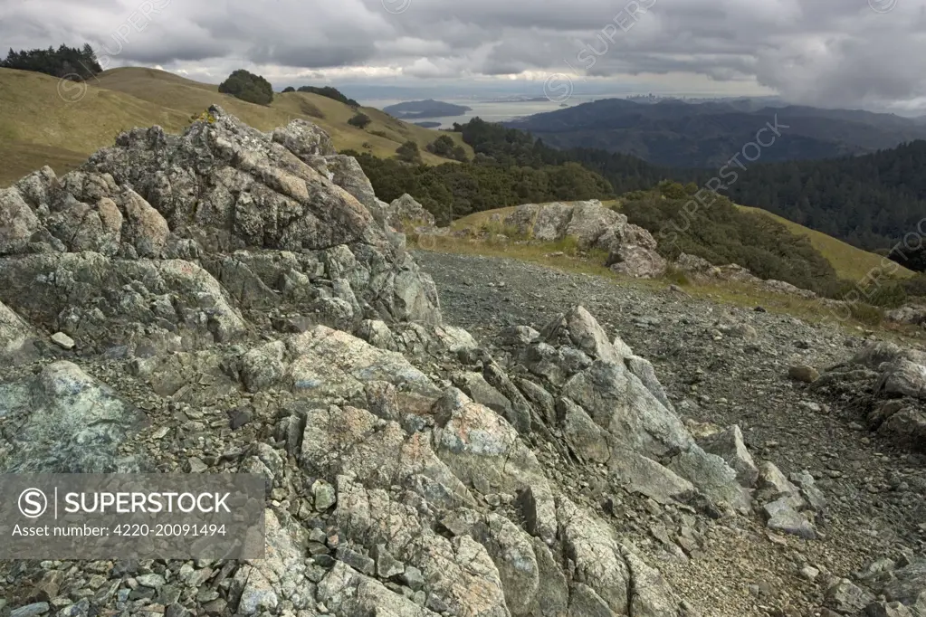 Serpentine outcrop on Mount Tamalpais (mt. Tam). San Francisco, USA.