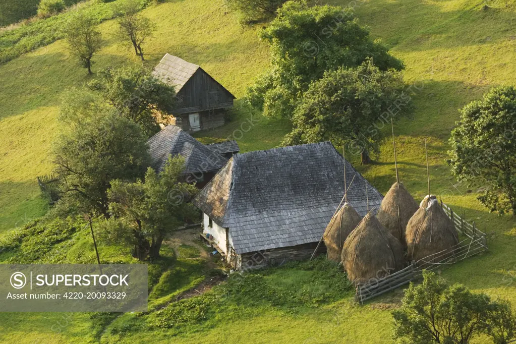 Traditional old farm in the Piatra Craiulu Mountains, surrounded by flowery pastures. Romania.