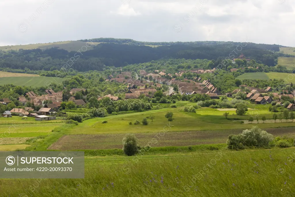 The ancient traditional village of Viscri in Saxon Transilvania, Romania 