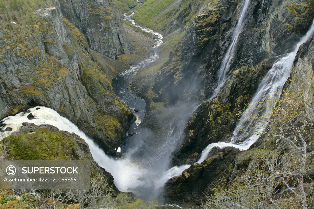 waterfalls - view of the thundering water masses of Voringfossen and Simadalen in early spring. Voringfossen, Hardangervidda, Fjord-Norway, Norway.