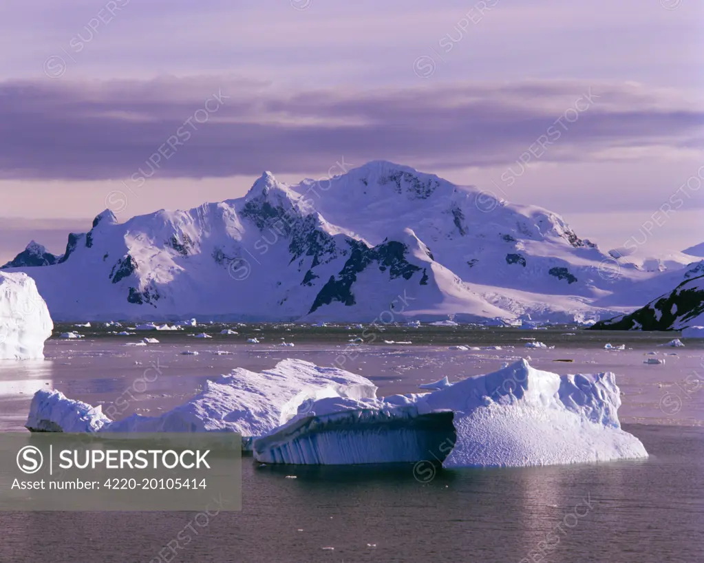 Icebergs off Graham Land Antarctic Peninsula. Antarctica.