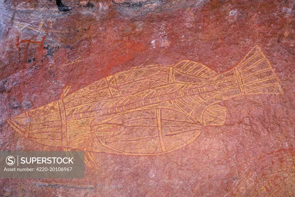 Australia - Kadadu National Park, Ubirr (Obiri Rock). Aboriginal Rock Painting of Barramundi Fish, X-ray Style. Northern Territories, Australia.