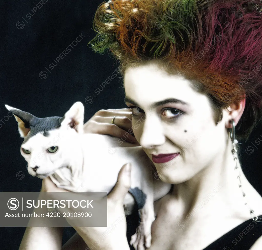 Sphynx CAT - with punk 