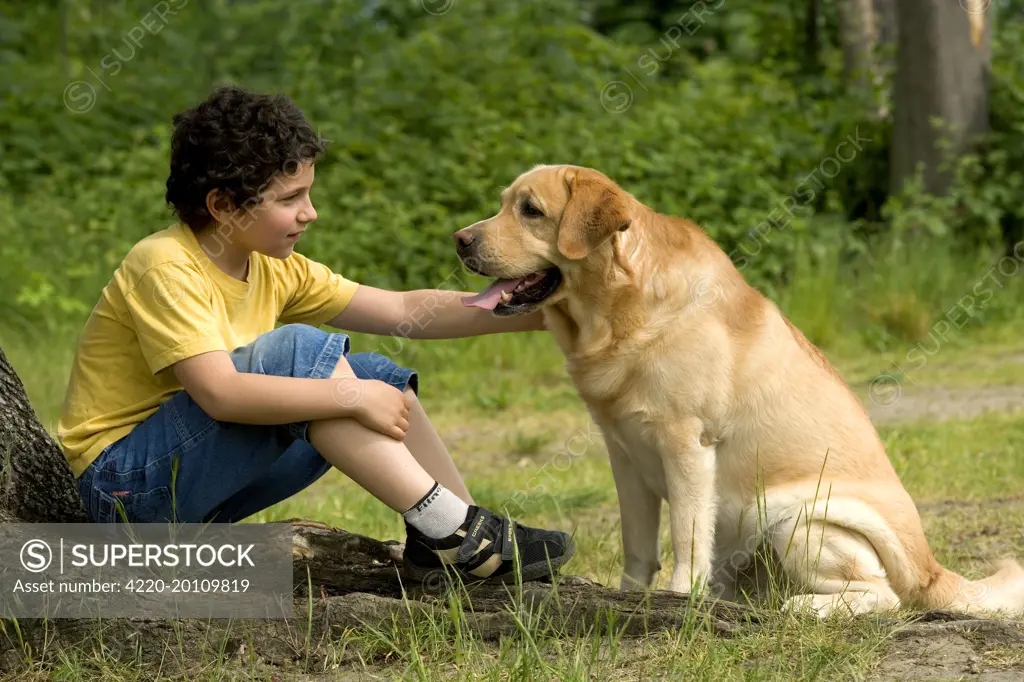 Dog - young boy talking to Labrador Retriever 