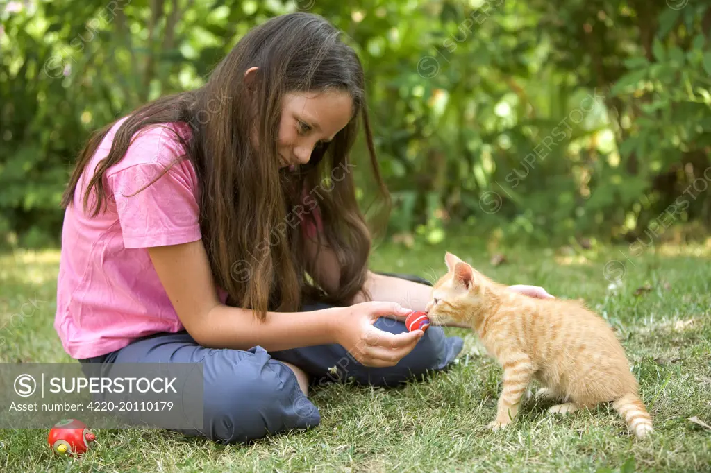 Cat - kitten playing with young girl 