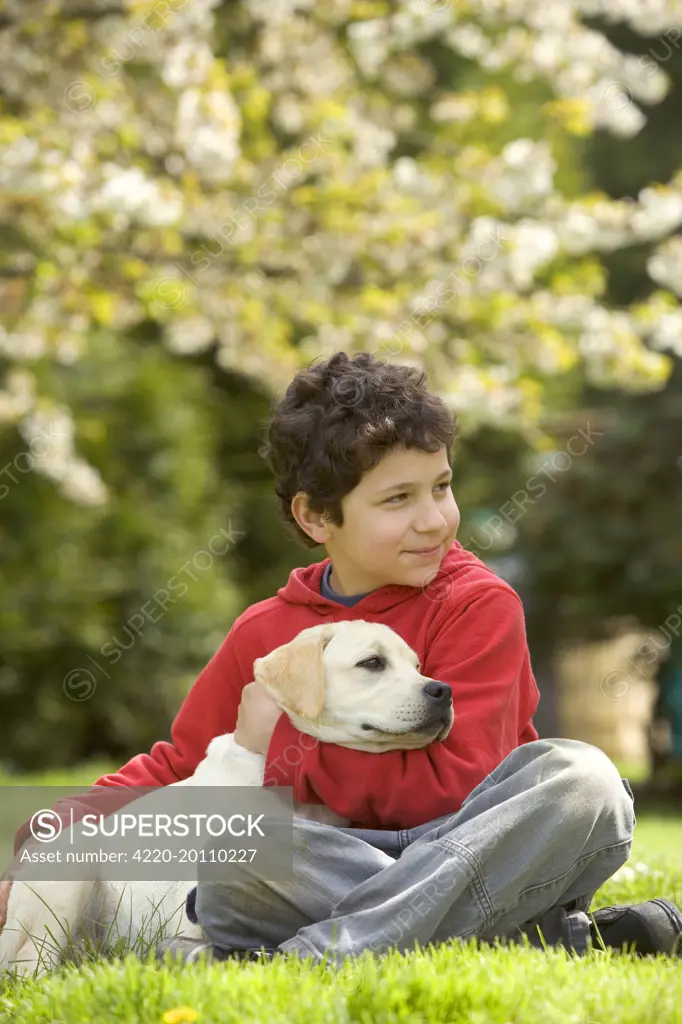 Labrador - boy cuddling puppy 