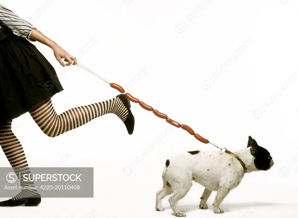 Dog - woman pulling dog on 'sausage' lead 