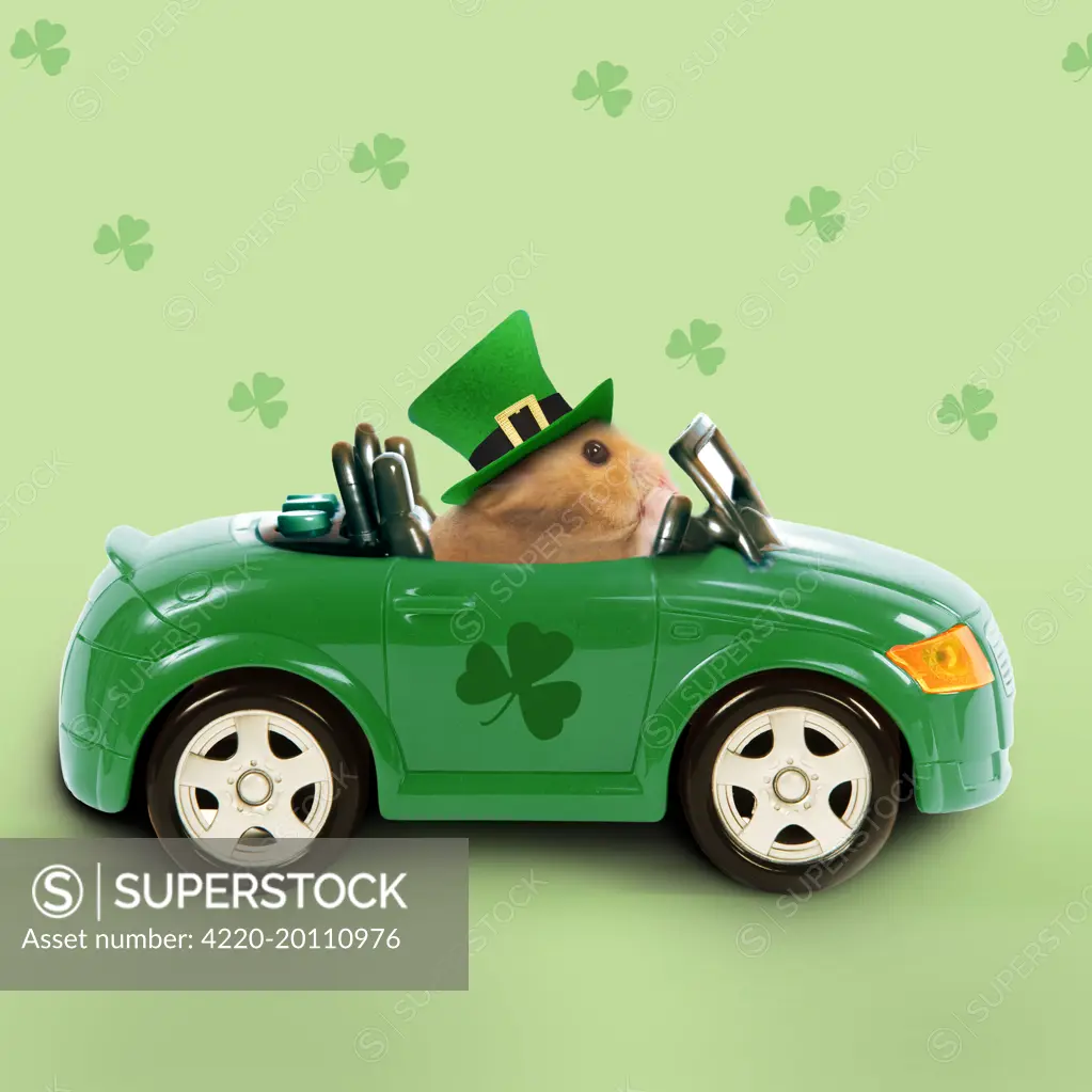 Hamster - driving car - Saint Patrick's Day 