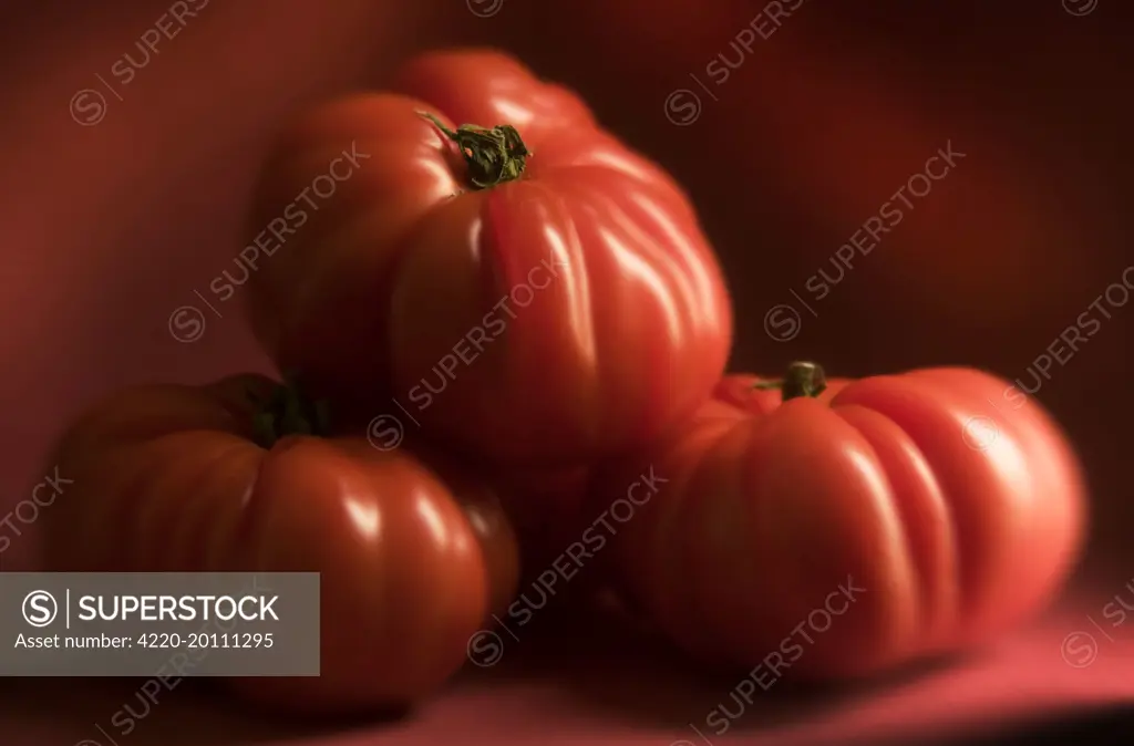 Beef Tomatoes - three  