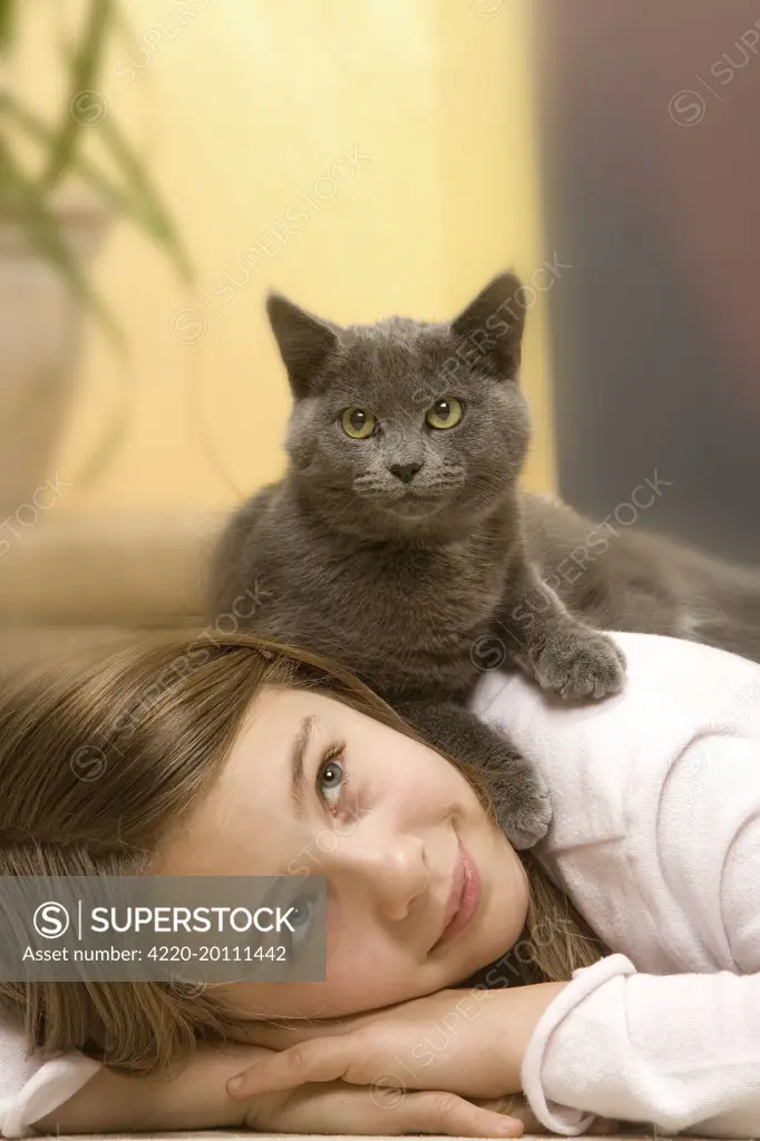 Cat - Young girl lying on floor with grey cat lying on her back. 
