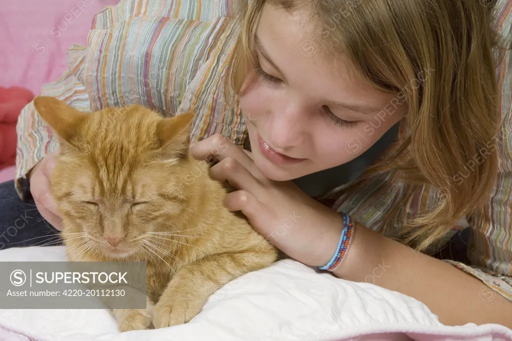 Young girl - stroking ginger cat 