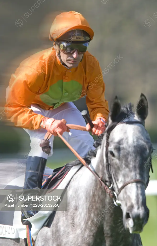 Jockey - riding grey horse at Longchamp racecourse 