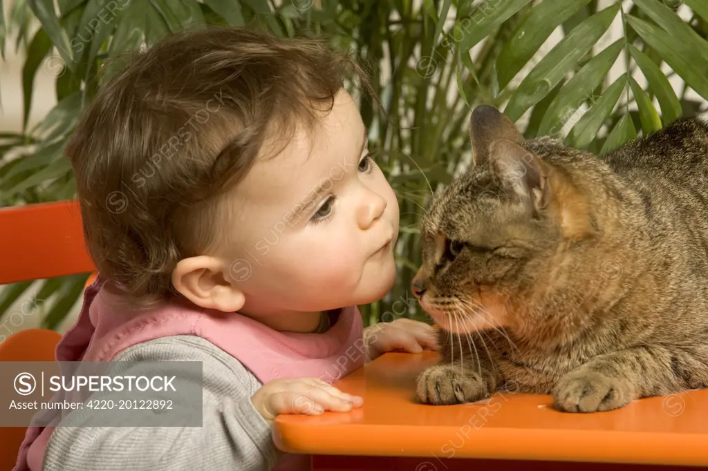 Baby / Infant - with Cat 