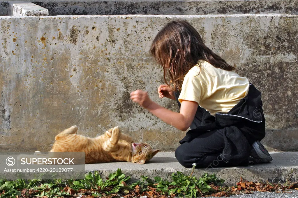 Young Girl - playing / teasing ginger tabby cat 