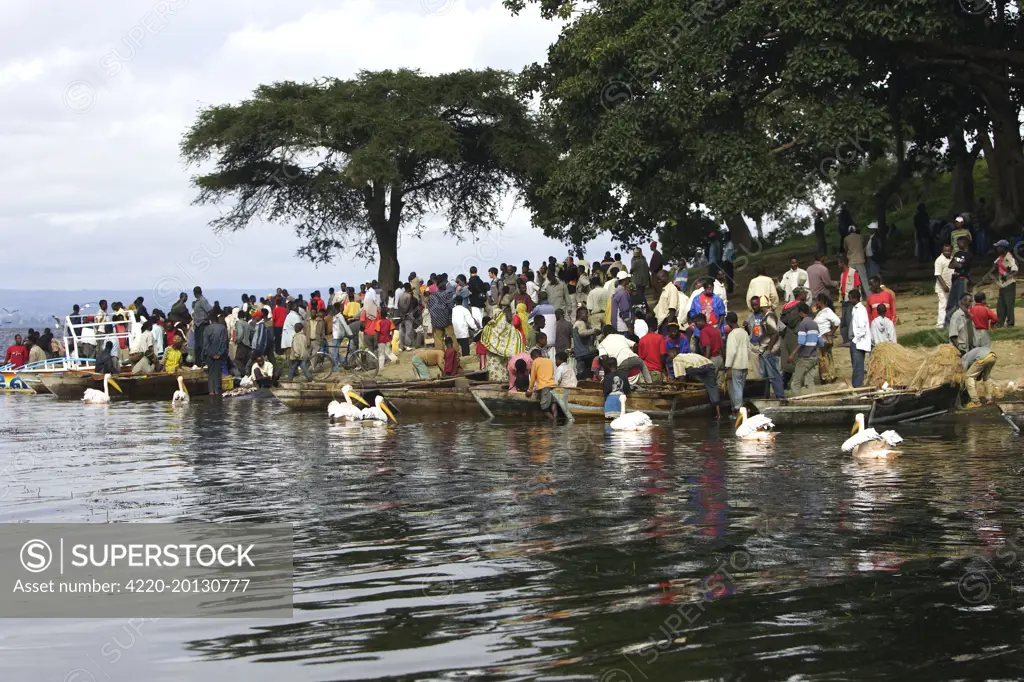 Ethiopia - fishermen. Fish market. Awassa.