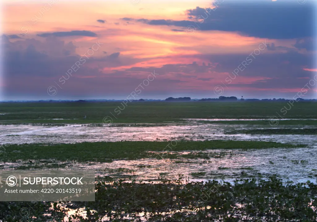 Venezuela - sunset over the Llanos 
