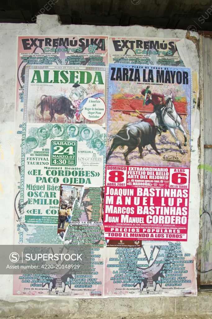 Bull Fighting Posters . Caceres, Extremadura, Spain.