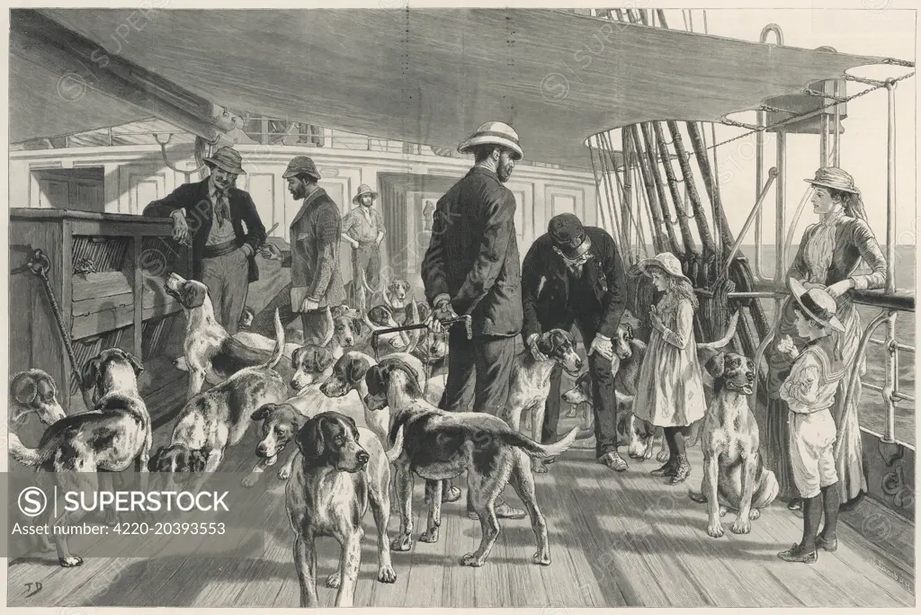 A pack of foxhounds on its way  to India      1888