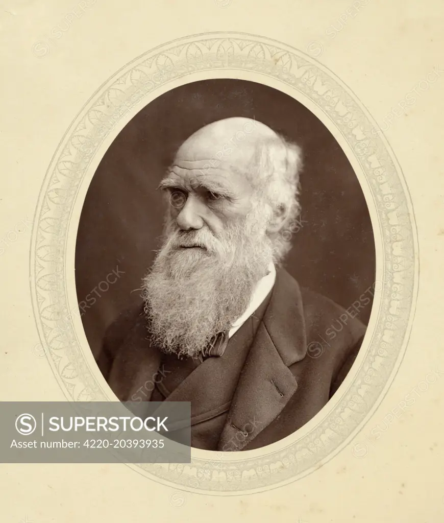 CHARLES DARWIN  English naturalist     1809 - 1882