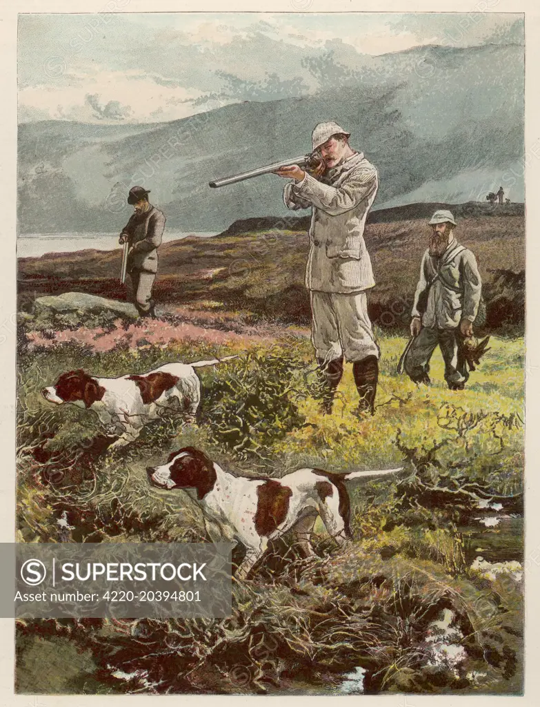  SHOOTING ON THE MOORS         Date: 1882