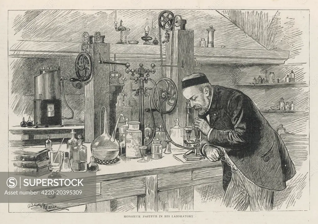 LOUIS PASTEUR  French chemist and  microbiologist in  his laboratory      Date: 1822 - 1895