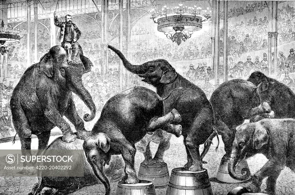 Engraving showing a number of elephants performing tricks during a circus show in 1876.     Date: 1876