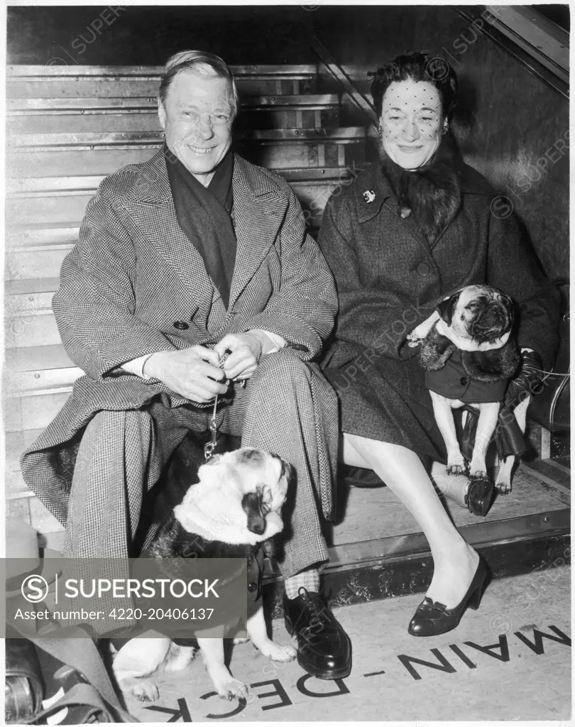 The Duke and Duchess of Windsor (formerly King Edward VIII and Mrs Wallis Simpson) shown with their beloved pug dogs.  The dogs are wearing rather stylish coats.  c. 1955