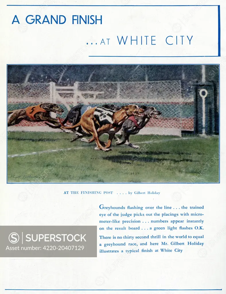 Advert for White City greyhound racing stadium depicting four greyhounds at the finishing post     Date: 1937