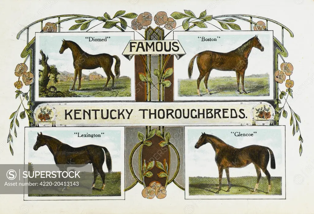 Four famous Kentucky Thoroughbreds: 'Diomed', 'Boston', 'Lexington' and 'Glencoe'   Date: 1910