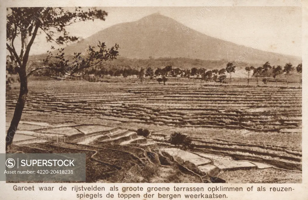 Garoet, Indonesia - paddy fields for cultivating rice     Date: 1927
