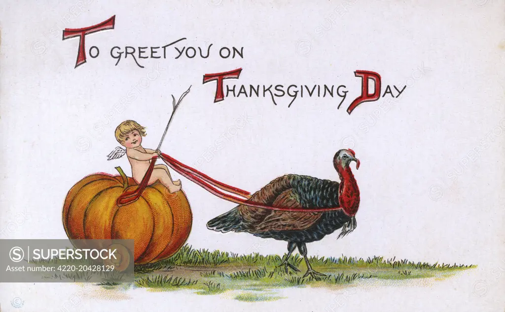 Slightly surreal (yet seasonally symbolic!) Thanksgiving Card from the USA depicting a Turkey pulling a cherub riding on a pumpkin wagon.     Date: circa 1910s