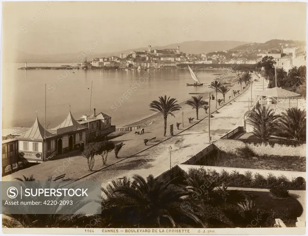 A view of 'La Croisette' - thesea front at Cannes.Date: circa 1900