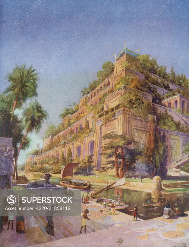 Hanging Gardens of Babylon. Allegedly built by  Nebuchadnezzar II for his wife  Amyitis, who missed her  homeland, Iraq.  They were  grown on terraces &amp; used water  from the Euphrates River.     Date: circa 570 BC