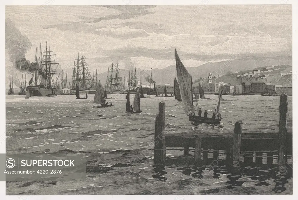 Wellington:boats in the harbourDate: 1891