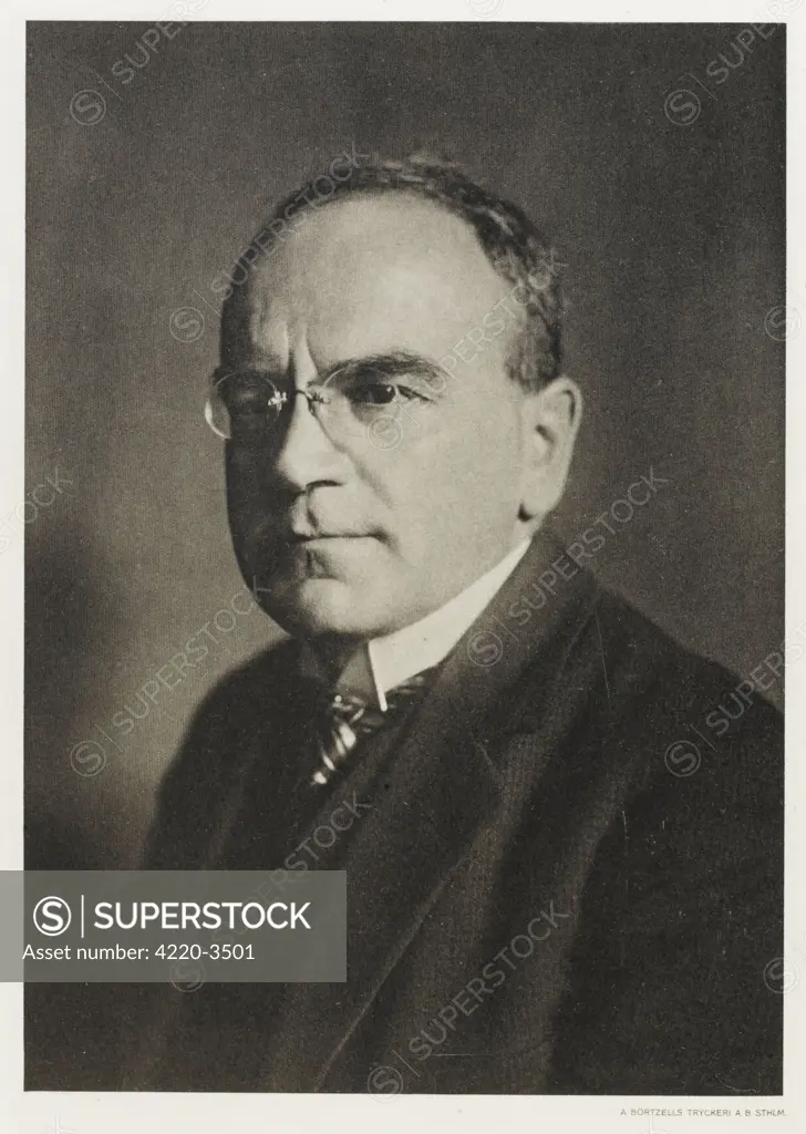 HEINRICH OTTO WIELAND  German chemist        Date: 1877 - 1957