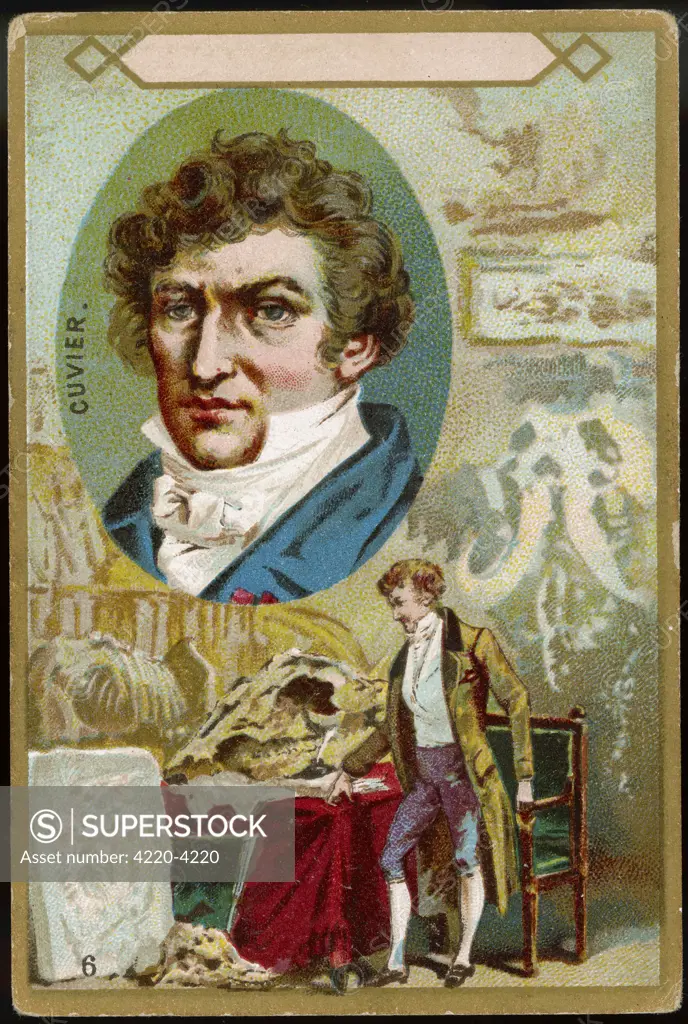GEORGES, BARON CUVIER  French naturalist, founder  of comparative anatomy and  paleontology
