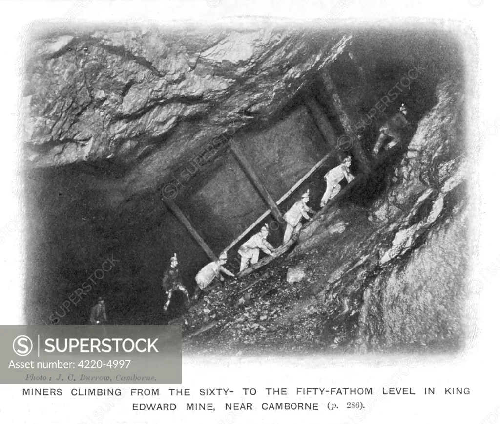 Miners climbing from the  sixty- to the fifty-fathom  level in King Edward's mine,  near Camborne, Cornwall.