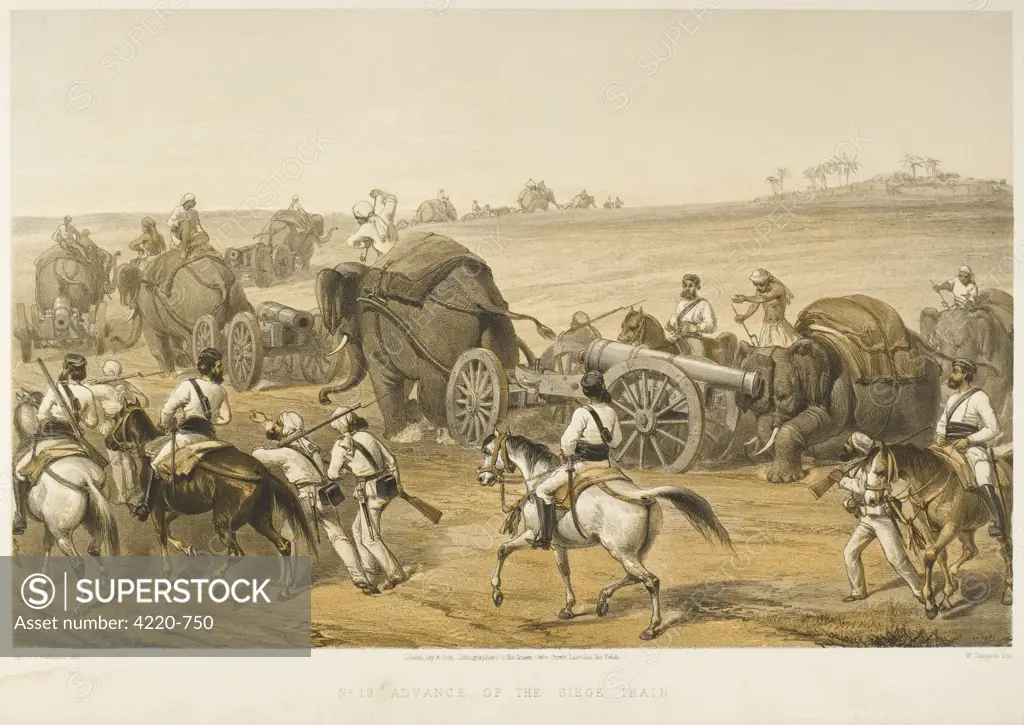 Elephants are used to haul  artillery, forming a 'siege  train', during the Indian  Mutiny