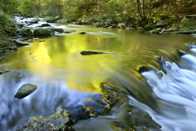 River at Watersmeet - autumn colours reflected in wild brook. Watersmeet, Exmoor National Park, Devon, England, UK.