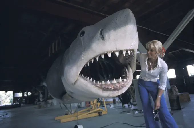 JAWS - Mechanical Great White shark. Valerie Taylor with the mechanical white shark used in the making of the film Jaws. Martha's Vinyard, USA.