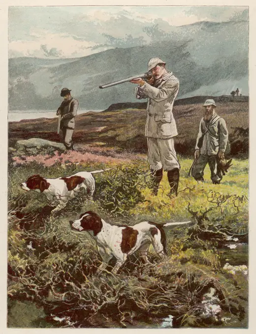  SHOOTING ON THE MOORS         Date: 1882