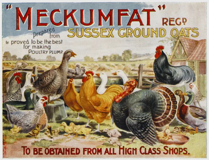Advertising poster for the fabulously named 'Meckumfat' Sussex Ground Oats - '...proved to be the best for making poultry plump'!     Date: 1920s