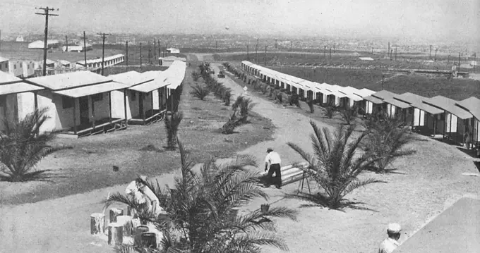 Palm-lined streets of hutments, each to house four persons for the 1932 Los Angeles Olympic Games.  The Olympic Village was located on the highlands, overlooking the Pacific Ocean.      Date: 1932