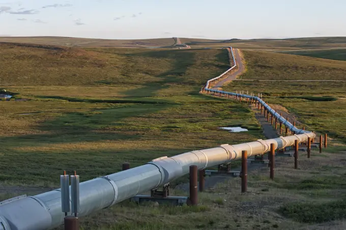 The Alyeska Pipeline carrying oil from Prudhoe Bay, Alaska to Valdez, from where it is shipped across the globe Alyeska, Alaska, USA. Alaskan pipeline cuts across tundra landscape