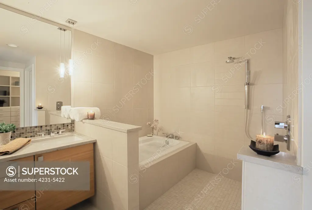 Tub and Shower in Bathroom