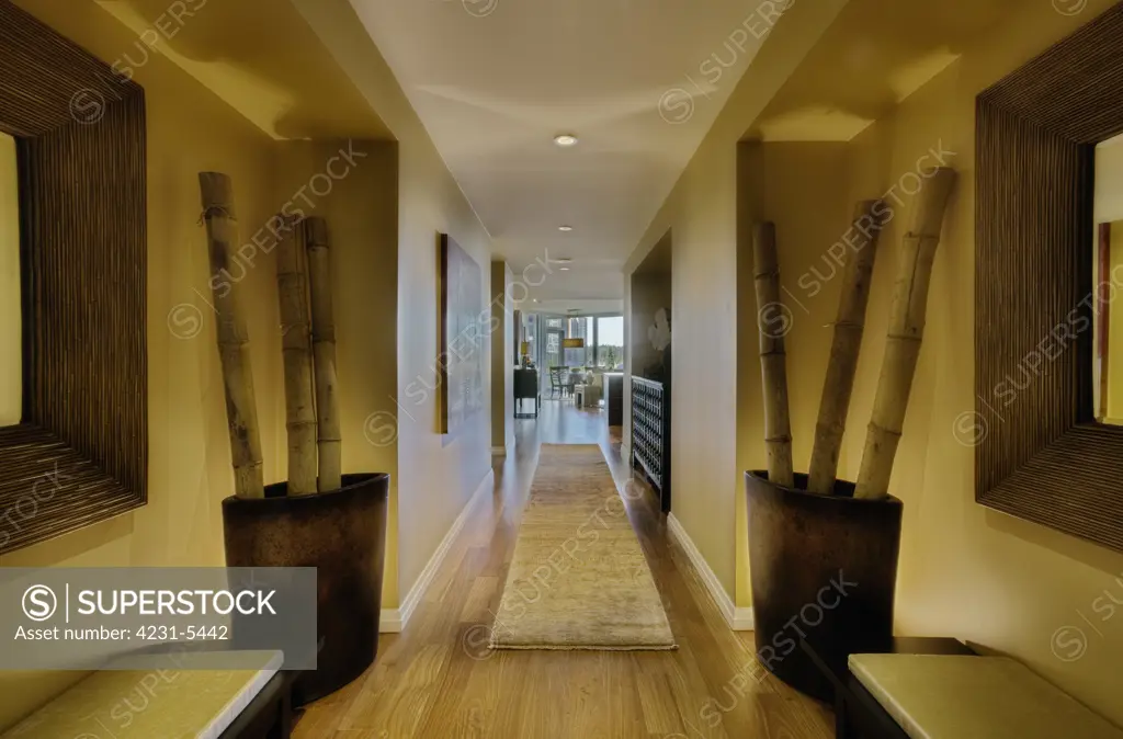 Large Hallway in Upscale Residence
