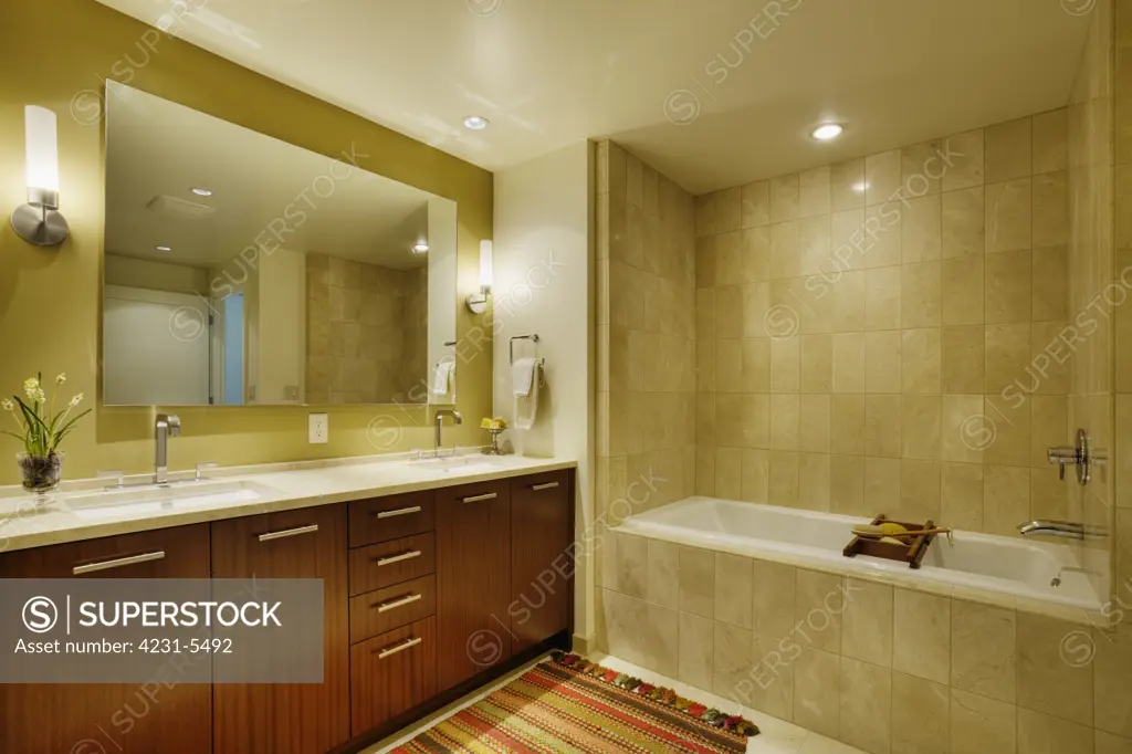 Upscale Bathroom Interior