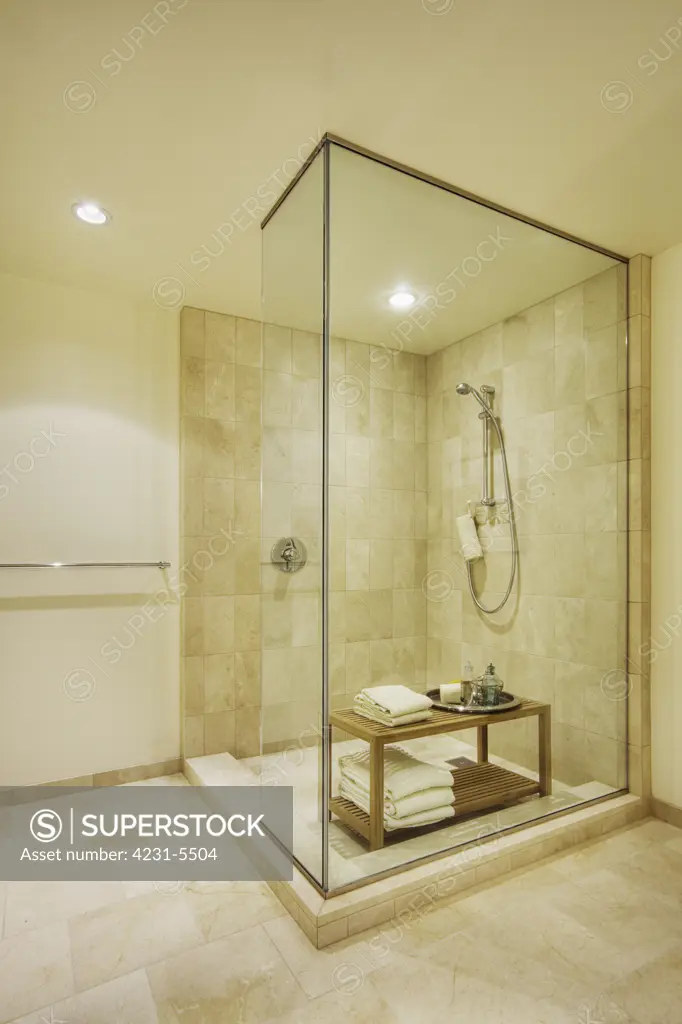 Shower in Upscale Bathroom