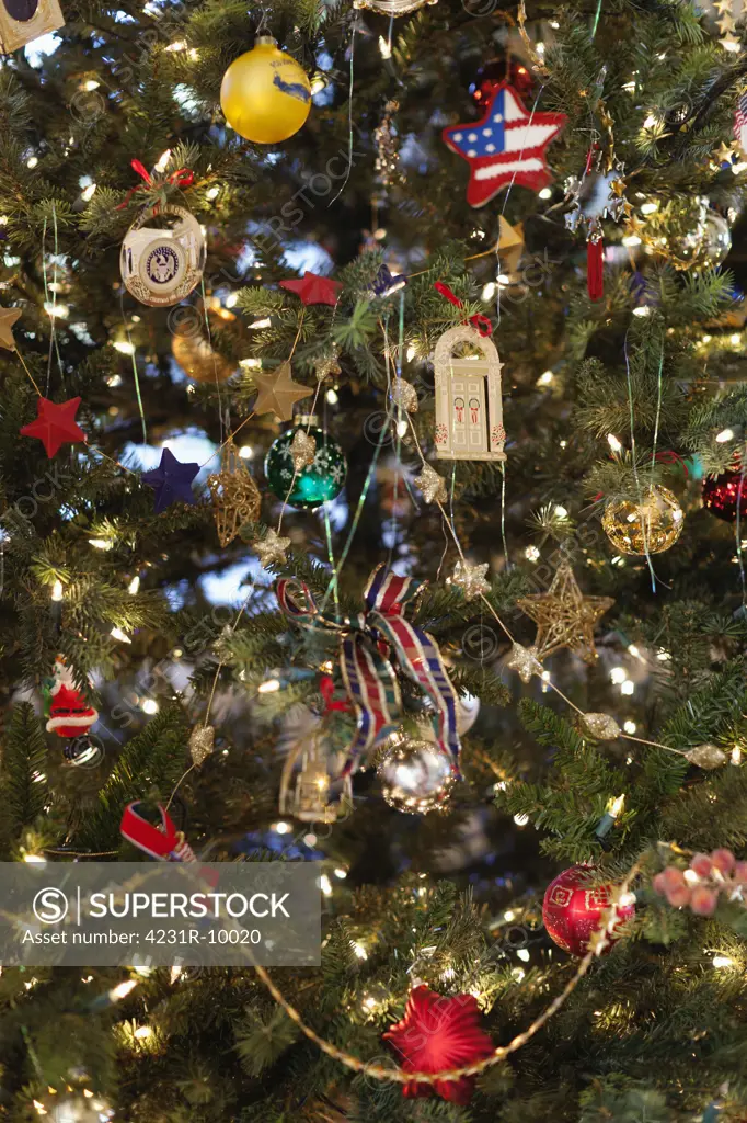 Patuxent River. An American home. A formal living room with Christmas tree and gifts. Close up of a pine tree branch crowded with ornaments.